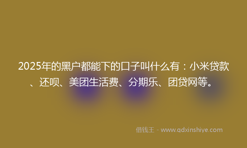 2025年的黑户都能下的口子叫什么有：小米贷款、还呗、美团生活费、分期乐、团贷网等。