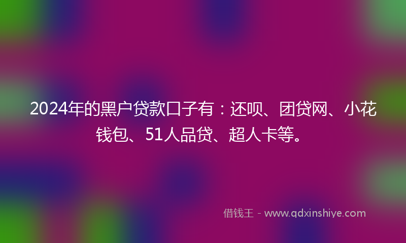 2024年的黑户贷款口子有：还呗、团贷网、小花钱包、51人品贷、超人卡等。