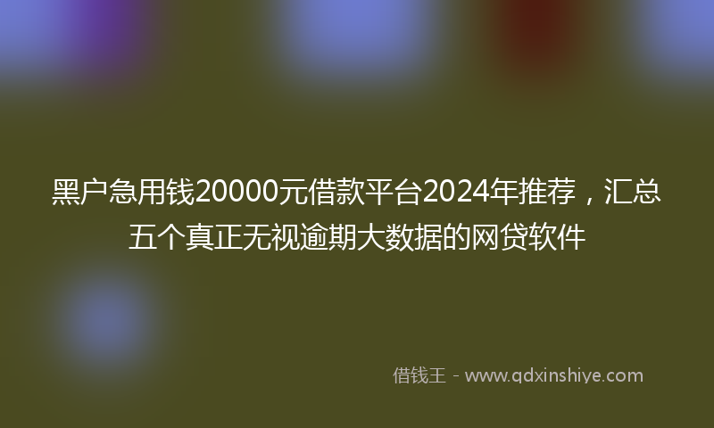 黑户急用钱20000元借款平台2024年推荐，汇总五个真正无视逾期大数据的网贷软件