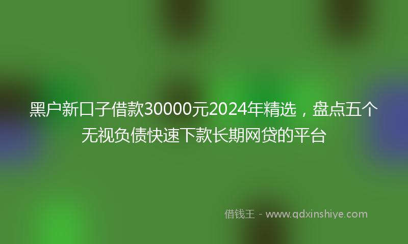 黑户新口子借款30000元2024年精选，盘点五个无视负债快速下款长期网贷的平台