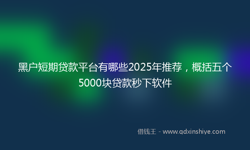 黑户短期贷款平台有哪些2025年推荐，概括五个5000块贷款秒下软件