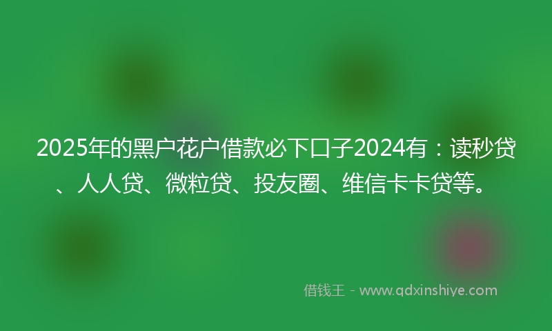 2025年的黑户花户借款必下口子2024有：读秒贷、人人贷、微粒贷、投友圈、维信卡卡贷等。