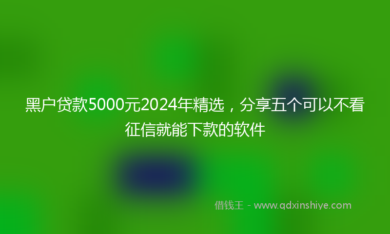 黑户贷款5000元2024年精选，分享五个可以不看征信就能下款的软件