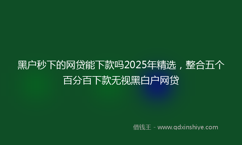 黑户秒下的网贷能下款吗2025年精选，整合五个百分百下款无视黑白户网贷