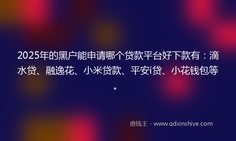 2025年的黑户能申请哪个贷款平台好下款有：滴水贷、融逸花、小米贷款、平安i贷、小花钱包等。