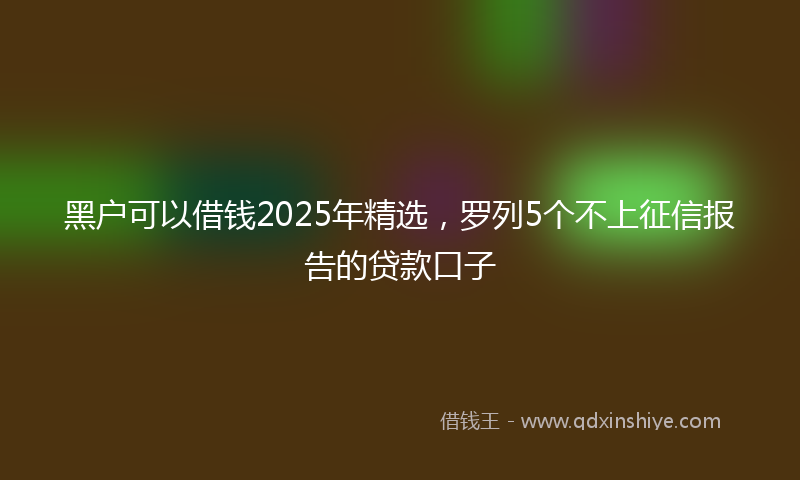 黑户可以借钱2025年精选，罗列5个不上征信报告的贷款口子