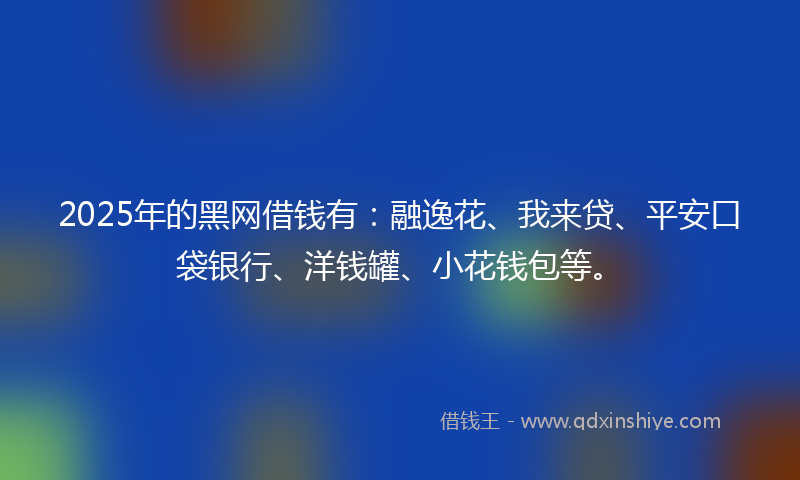 2025年的黑网借钱有：融逸花、我来贷、平安口袋银行、洋钱罐、小花钱包等。