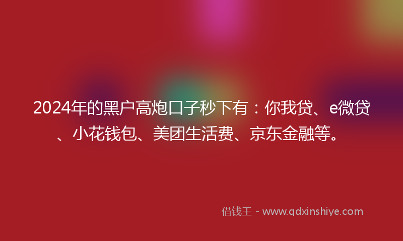 2024年的黑户高炮口子秒下有：你我贷、e微贷、小花钱包、美团生活费、京东金融等。