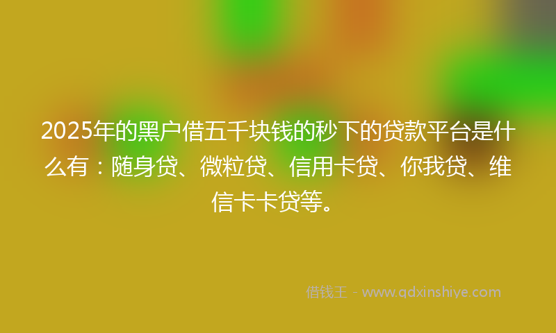 2025年的黑户借五千块钱的秒下的贷款平台是什么有:随身贷、微粒贷、信用卡贷、你我贷、维信卡卡贷等。
