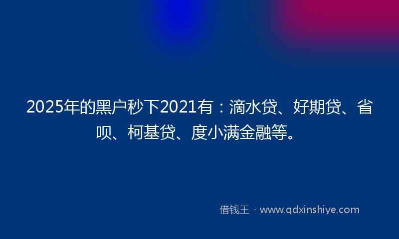 2025年的黑户秒下2021有：滴水贷、好期贷、省呗、柯基贷、度小满金融等。