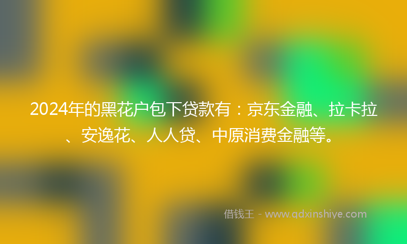 2024年的黑花户包下贷款有：京东金融、拉卡拉、安逸花、人人贷、中原消费金融等。