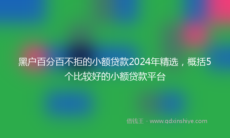 黑户百分百不拒的小额贷款2024年精选，概括5个比较好的小额贷款平台