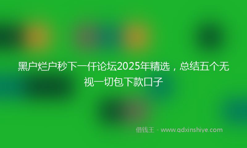 黑户烂户秒下一仟论坛2025年精选，总结五个无视一切包下款口子