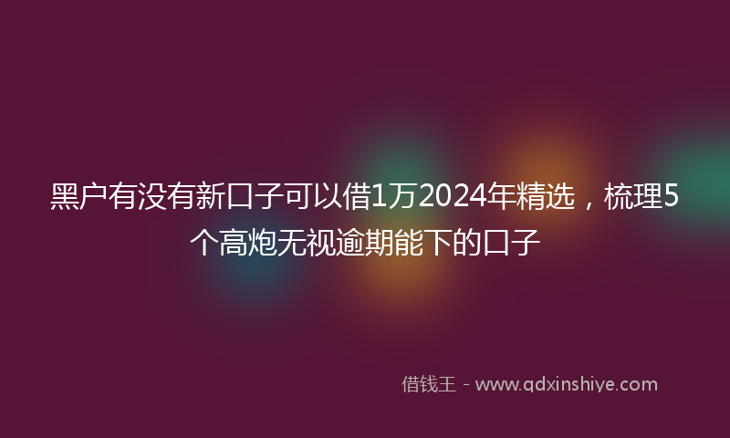 黑户有没有新口子可以借1万2024年精选，梳理5个高炮无视逾期能下的口子