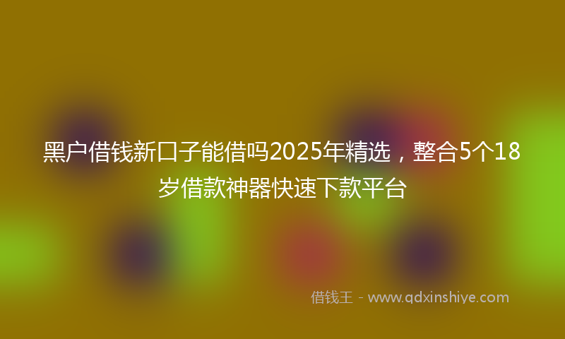 黑户借钱新口子能借吗2025年精选，整合5个18岁借款神器快速下款平台
