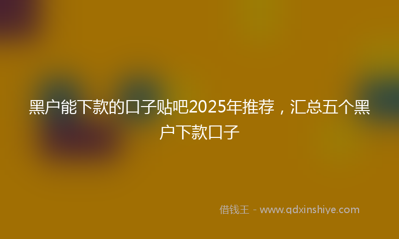 黑户能下款的口子贴吧2025年推荐，汇总五个黑户下款口子