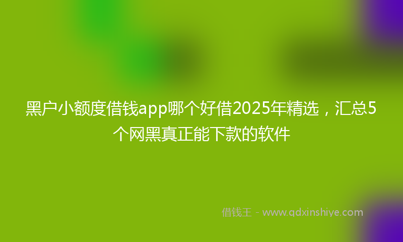 黑户小额度借钱app哪个好借2025年精选，汇总5个网黑真正能下款的软件