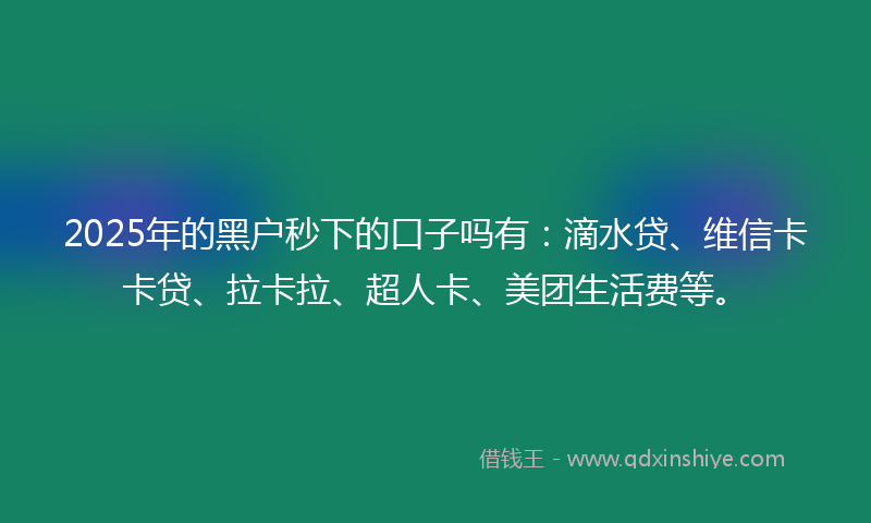 2025年的黑户秒下的口子吗有：滴水贷、维信卡卡贷、拉卡拉、超人卡、美团生活费等。