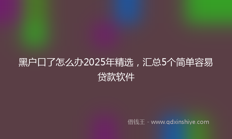 黑户口了怎么办2025年精选，汇总5个简单容易贷款软件