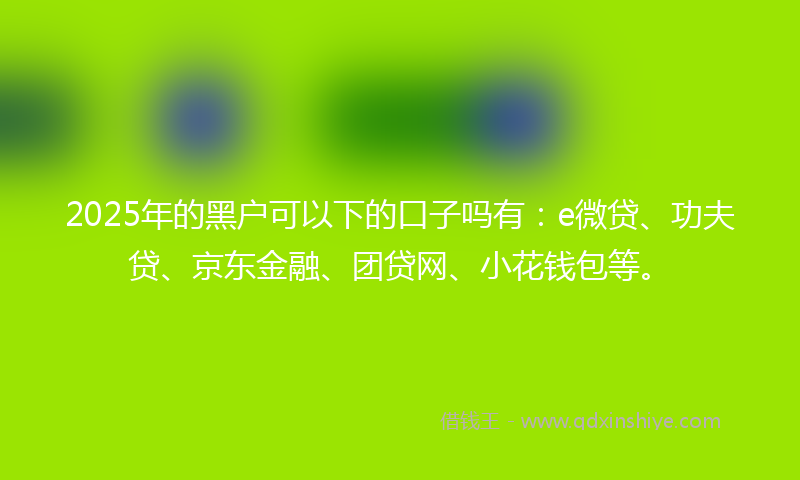 2025年的黑户可以下的口子吗有：e微贷、功夫贷、京东金融、团贷网、小花钱包等。