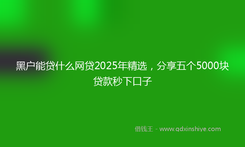 黑户能贷什么网贷2025年精选，分享五个5000块贷款秒下口子