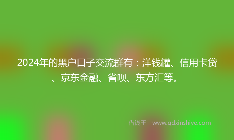 2024年的黑户口子交流群有：洋钱罐、信用卡贷、京东金融、省呗、东方汇等。