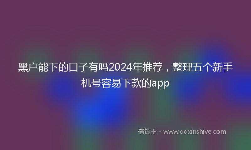 黑户能下的口子有吗2024年推荐，整理五个新手机号容易下款的app
