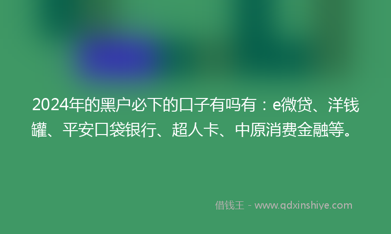 2024年的黑户必下的口子有吗有：e微贷、洋钱罐、平安口袋银行、超人卡、中原消费金融等。