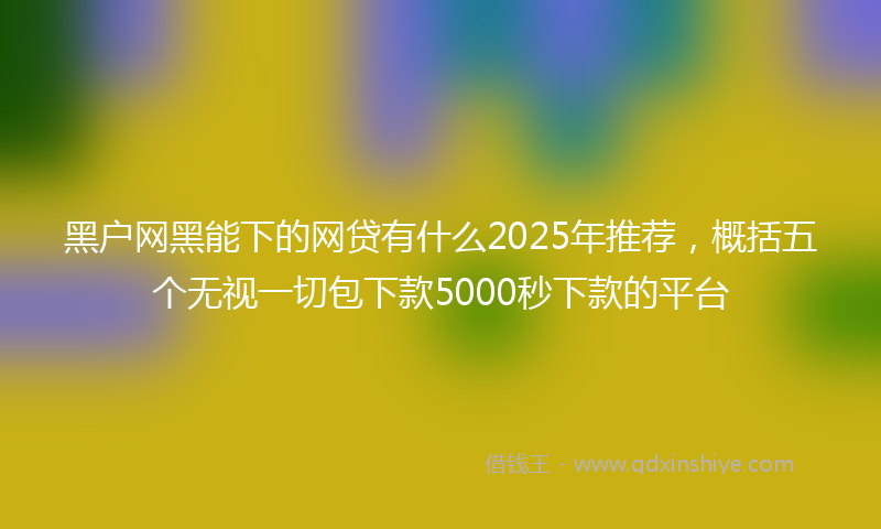 黑户网黑能下的网贷有什么2025年推荐，概括五个无视一切包下款5000秒下款的平台