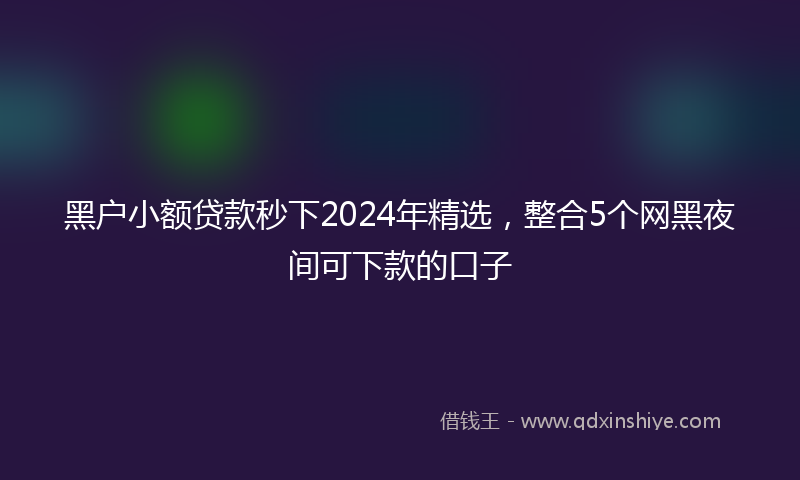 黑户小额贷款秒下2024年精选，整合5个网黑夜间可下款的口子