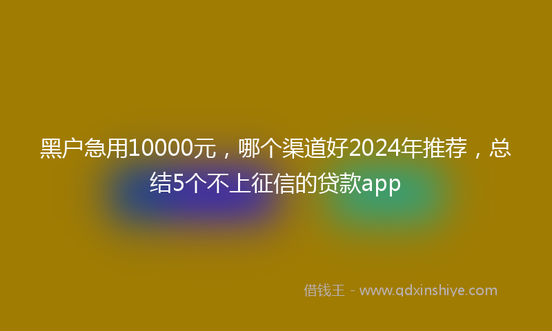 黑户急用10000元，哪个渠道好2024年推荐，总结5个不上征信的贷款app