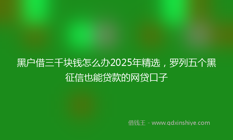 黑户借三千块钱怎么办2025年精选，罗列五个黑征信也能贷款的网贷口子
