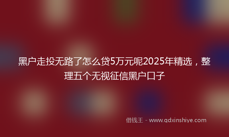 黑户走投无路了怎么贷5万元呢2025年精选，整理五个无视征信黑户口子