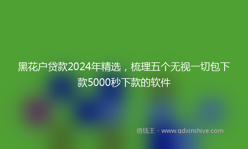 黑花户贷款2024年精选，梳理五个无视一切包下款5000秒下款的软件