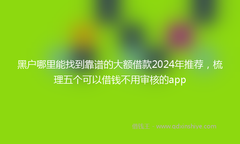 黑户哪里能找到靠谱的大额借款2024年推荐，梳理五个可以借钱不用审核的app