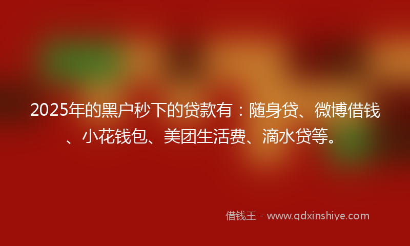 2025年的黑户秒下的贷款有：随身贷、微博借钱、小花钱包、美团生活费、滴水贷等。