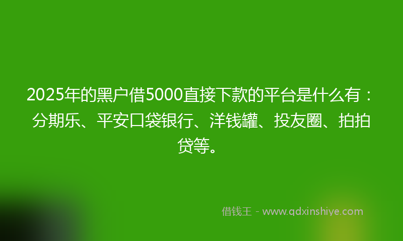 2025年的黑户借5000直接下款的平台是什么有：分期乐、平安口袋银行、洋钱罐、投友圈、拍拍贷等。