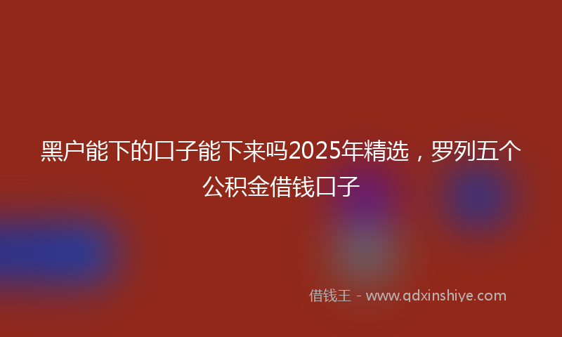 黑户能下的口子能下来吗2025年精选，罗列五个公积金借钱口子