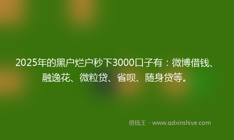 2025年的黑户烂户秒下3000口子有：微博借钱、融逸花、微粒贷、省呗、随身贷等。