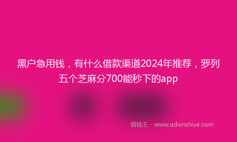 黑户急用钱，有什么借款渠道2024年推荐，罗列五个芝麻分700能秒下的app