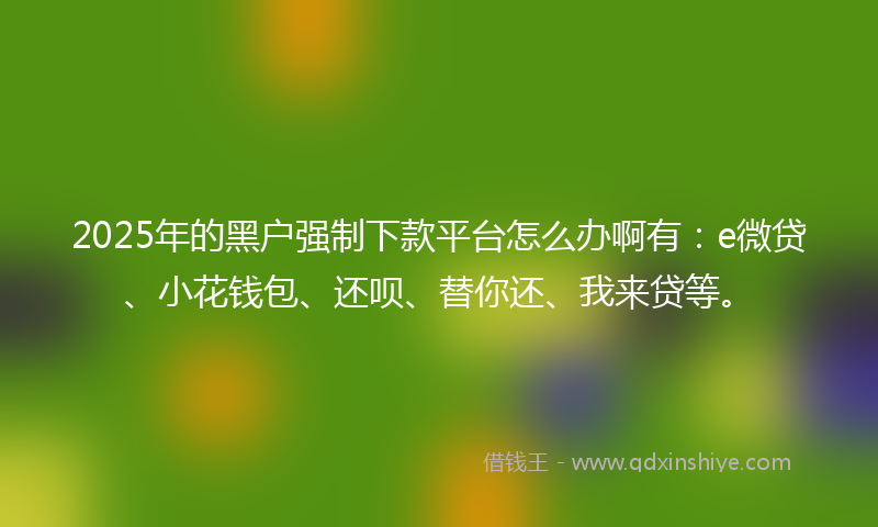 2025年的黑户强制下款平台怎么办啊有：e微贷、小花钱包、还呗、替你还、我来贷等。