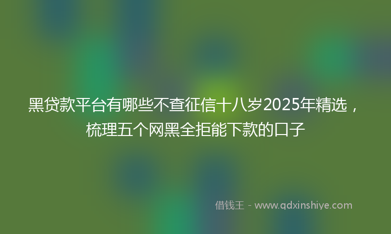 黑贷款平台有哪些不查征信十八岁2025年精选，梳理五个网黑全拒能下款的口子