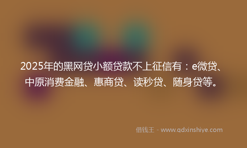 2025年的黑网贷小额贷款不上征信有：e微贷、中原消费金融、惠商贷、读秒贷、随身贷等。
