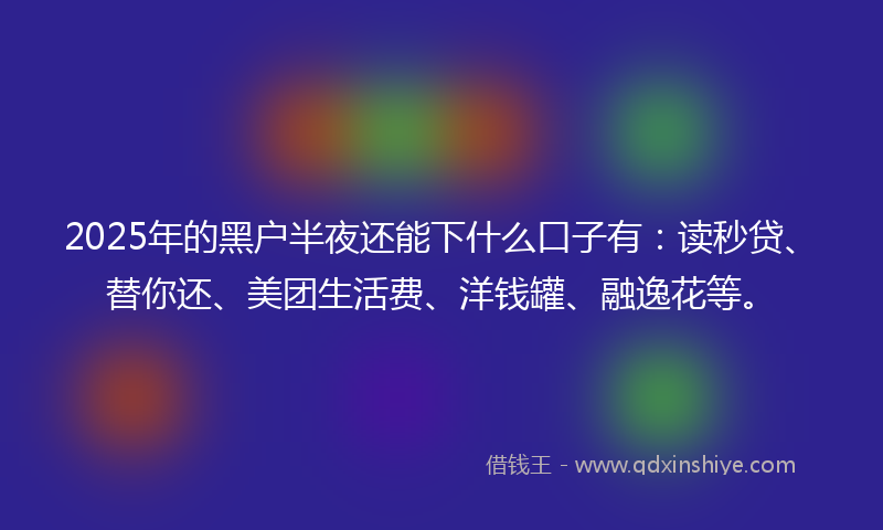 2025年的黑户半夜还能下什么口子有：读秒贷、替你还、美团生活费、洋钱罐、融逸花等。