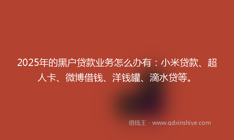 2025年的黑户贷款业务怎么办有：小米贷款、超人卡、微博借钱、洋钱罐、滴水贷等。