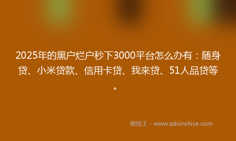 2025年的黑户烂户秒下3000平台怎么办有：随身贷、小米贷款、信用卡贷、我来贷、51人品贷等。