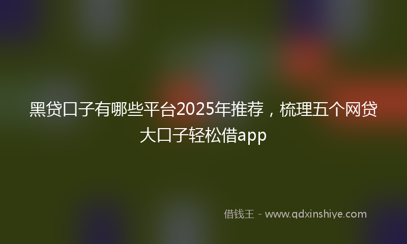 黑贷口子有哪些平台2025年推荐，梳理五个网贷大口子轻松借app