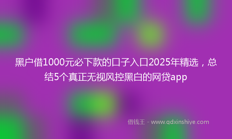 黑户借1000元必下款的口子入口2025年精选，总结5个真正无视风控黑白的网贷app