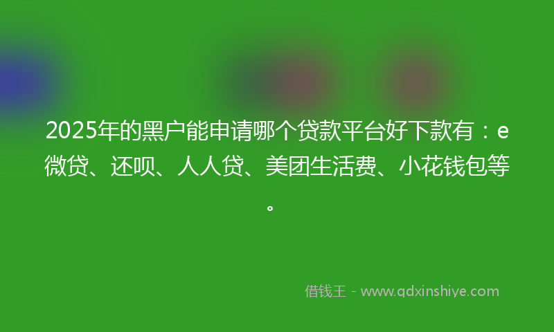 2025年的黑户能申请哪个贷款平台好下款有：e微贷、还呗、人人贷、美团生活费、小花钱包等。