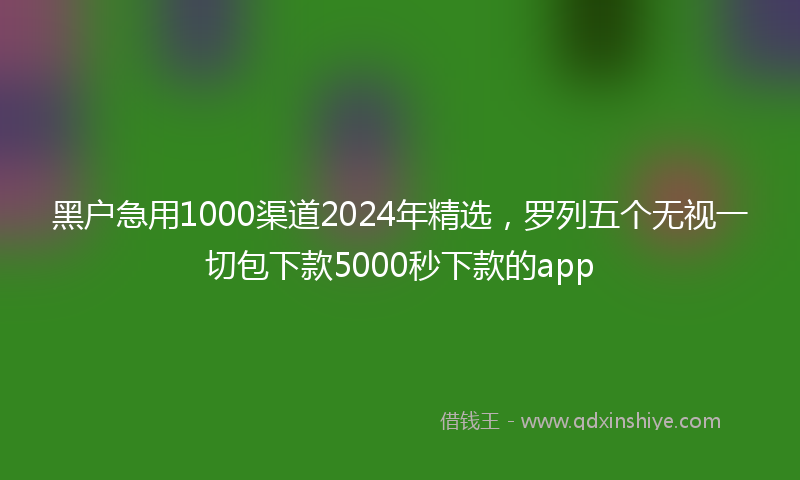 黑户急用1000渠道2024年精选，罗列五个无视一切包下款5000秒下款的app
